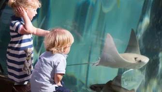 SEA LIFE London Aquarium