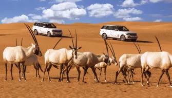 Conservation Drive Dubai