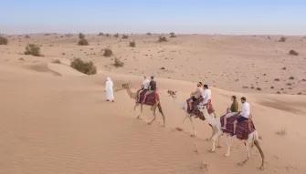 Heritage Safari by Camel 3