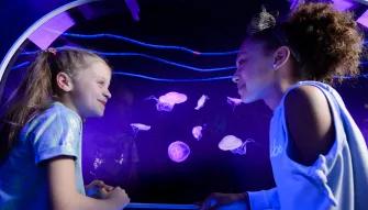 SEA LIFE London Aquarium