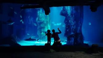 SEA LIFE London Aquarium
