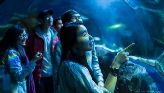 SEA LIFE London Aquarium