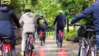 Washington D.C. Bike Rentals