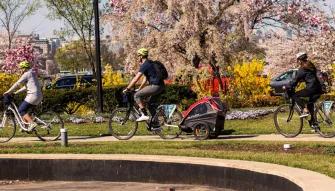 Washington D.C. Bike Rentals