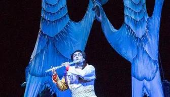flute
