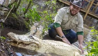 Gator trainer with white alligator at Gatorland Orlando