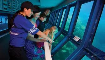 Great Barrier Reef Adventure Great Barrier Reef Adventure