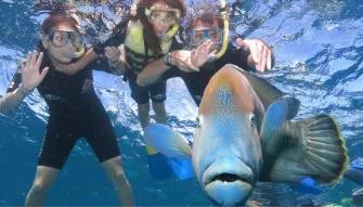 Great Barrier Reef Adventure Great Barrier Reef Adventure