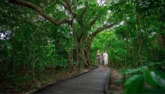 Green Island Discovery Cruise