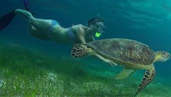 Green Island Eco Adventure