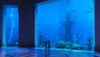 The Lost Chambers Aquarium in Dubai