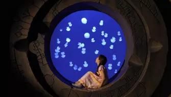 The Lost Chambers Aquarium in Dubai