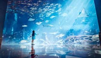 The Lost Chambers Aquarium in Dubai