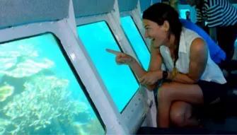 Luxury Ocean Spirit Cruise to Michaelmas Cay Luxury Ocean Spirit Cruise to Michaelmas Cay