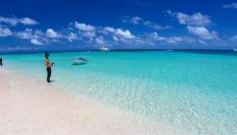Luxury Ocean Spirit Cruise to Michaelmas Cay Luxury Ocean Spirit Cruise to Michaelmas Cay