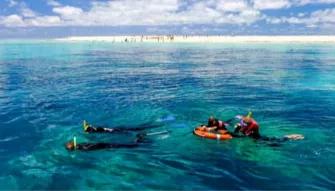 Luxury Ocean Spirit Cruise to Michaelmas Cay Luxury Ocean Spirit Cruise to Michaelmas Cay