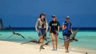 Luxury Ocean Spirit Cruise to Michaelmas Cay