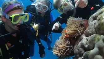 Outer Barrier Reef Adventure Outer Barrier Reef Adventure