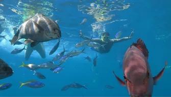 Outer Barrier Reef Adventure Outer Barrier Reef Adventure