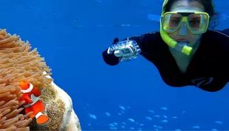 Outer Barrier Reef Adventure