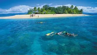 Wavedancer Low Isles Reef Cruise