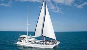 Wavedancer Low Isles Reef Cruise