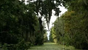 Airboat Swamp Tour from New Orleans Airboat Swamp Tour from New Orleans