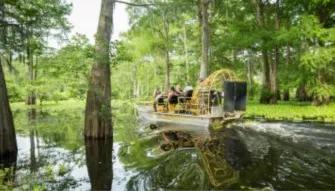Airboat Swamp Tour from New Orleans Airboat Swamp Tour from New Orleans