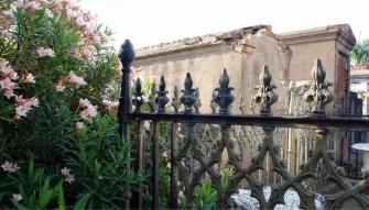 New Orleans City & Cemetery Tour New Orleans City & Cemetery Tour
