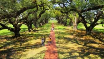 Oak Alley Plantation Tour Oak Alley Plantation Tour