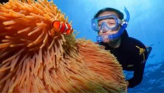 Silversonic Outer Barrier Reef