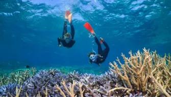 Silversonic Outer Barrier Reef