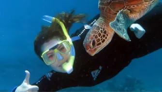 Silversonic Outer Barrier Reef