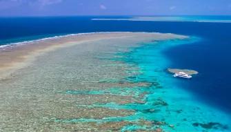 Silverswift Outer Barrier Reef  Silverswift Outer Barrier Reef