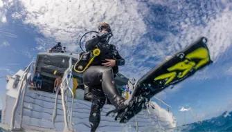 Silverswift Outer Barrier Reef  Silverswift Outer Barrier Reef