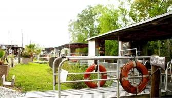 Swamp and Bayou Tour