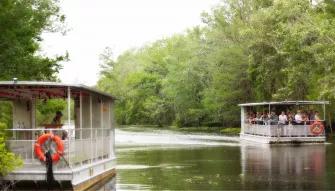 Swamp and Bayou Tour