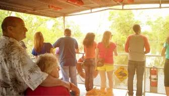 Swamp and Bayou Tour