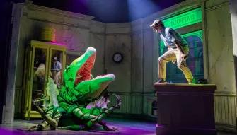 Little Shop of Horrors