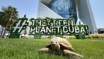 The Green Planet™ Dubai exterior 