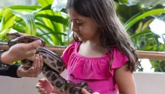 Girl handling snake at The Green Planet™ Dubai
