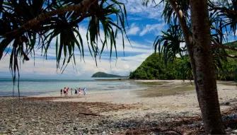 Cape Tribulation & Daintree Adventure