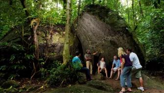 Cape Tribulation & Daintree Adventure