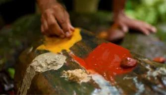 Cape Tribulation & Daintree Adventure