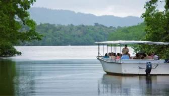 Cape Tribulation & Daintree Adventure