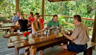 Cape Tribulation & Daintree Adventure