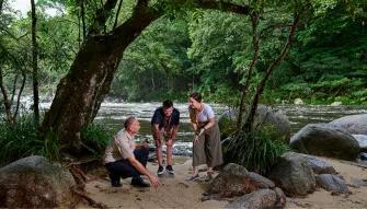 Cape Tribulation & Daintree Adventure from Port Douglas