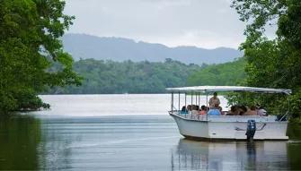 Cape Tribulation & Daintree Adventure from Port Douglas