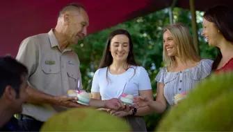 Cape Tribulation & Daintree Adventure from Port Douglas