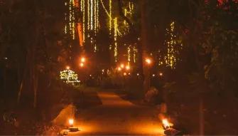 Flames of the Forest - Aboriginal Cultural Experience